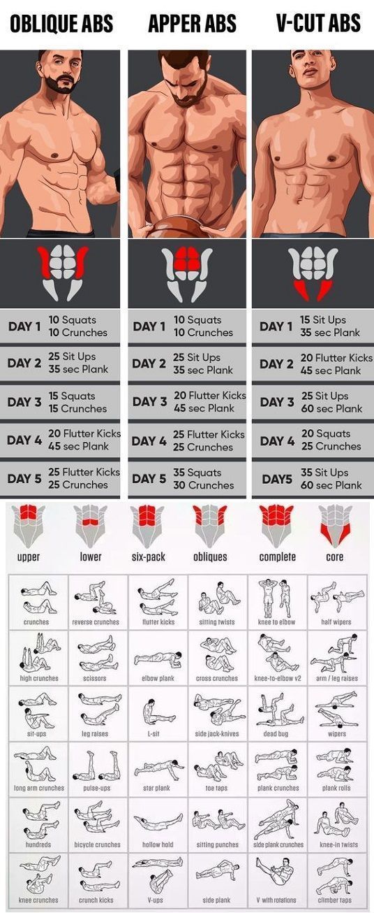 Abs Workout Programs